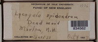 Image Associated With the Occurence